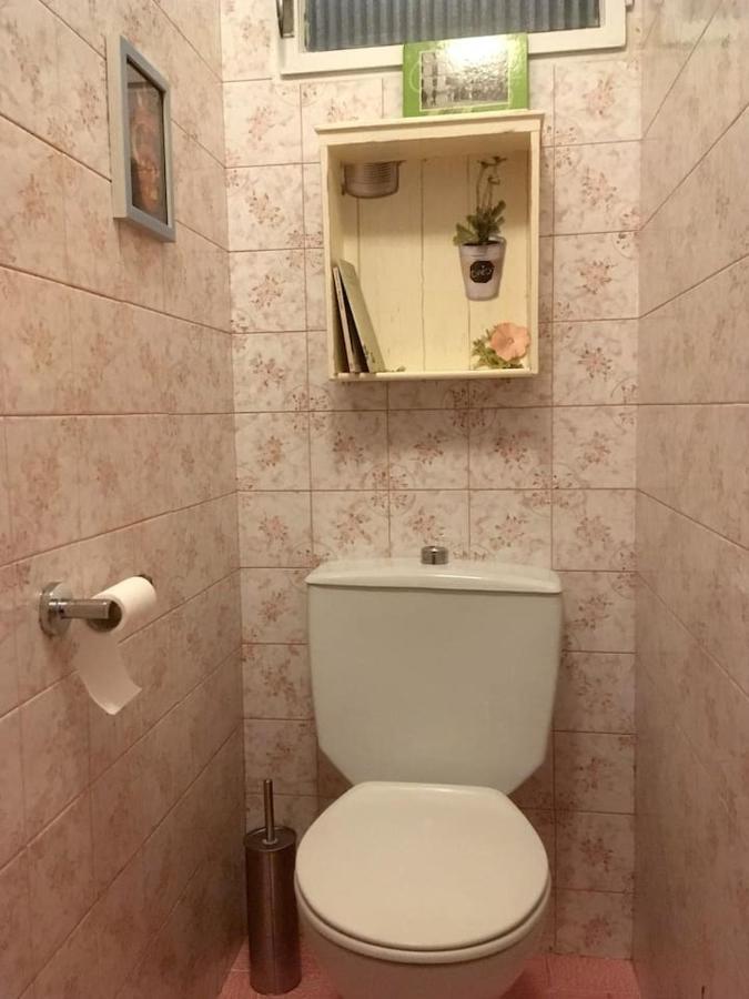 Casa L'Avia Apartment Ribes De Freser Bagian luar foto